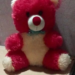 Teddy